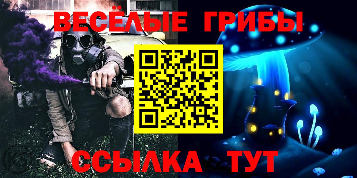 Псилоцибиновые грибы Psilocybine cubensis Куйбышев