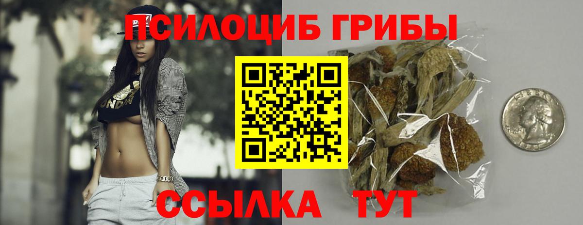 Галлюциногенные грибы Psilocybe  Вход с VPN  Куйбышев 